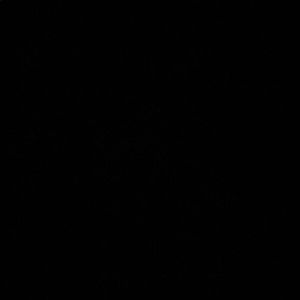 Meet your Posher, Maggie